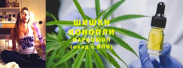 гашик Ельня