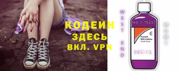гидра Заводоуковск
