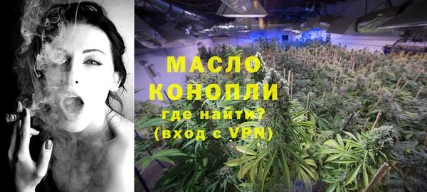 гидра Заводоуковск