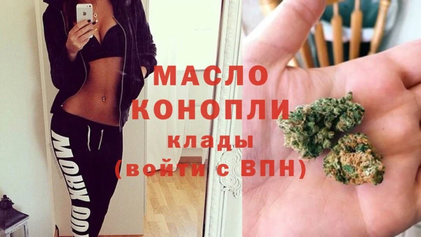 гидра Заводоуковск