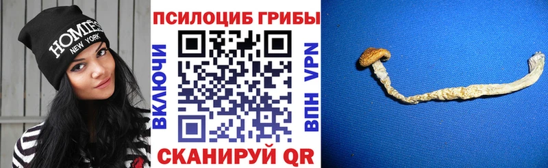 Галлюциногенные грибы прущие грибы  Купить где  Туймазы 